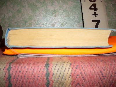 SDC10557.JPG