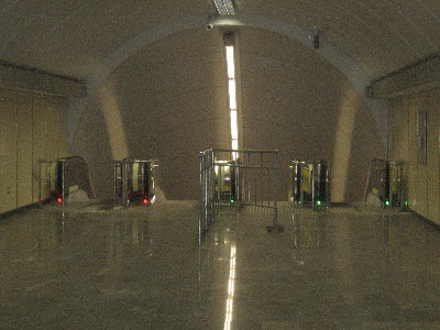 IMG_2443.jpg