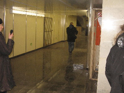 IMG_2423.jpg