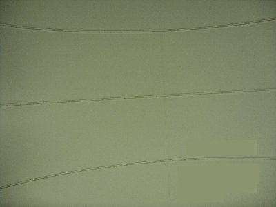 SDC10149.JPG