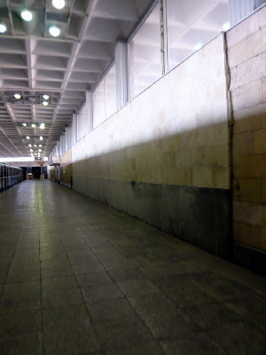 433.jpg