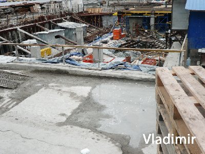 P1060386.jpg