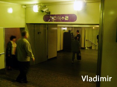 P1060782.jpg
