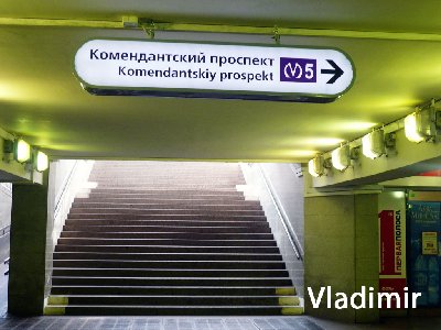 P1060779.jpg