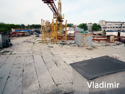 P1060704.jpg