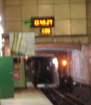 P5010105.jpg