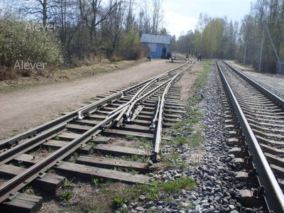 SDC12522.JPG