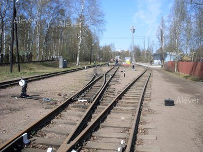 SDC12526.JPG