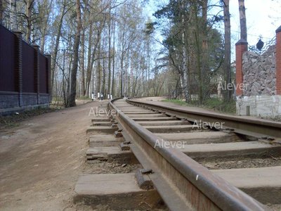 SDC12534.JPG