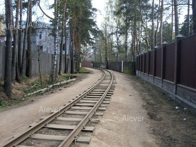 SDC12537.JPG