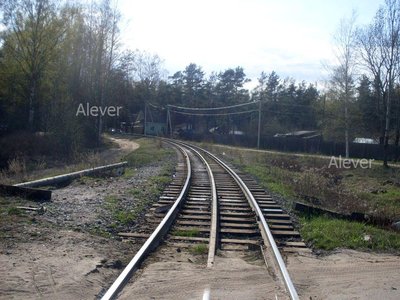 SDC12553.JPG
