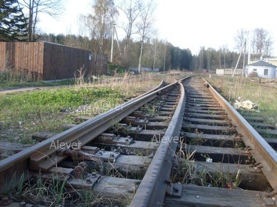 SDC12616.JPG
