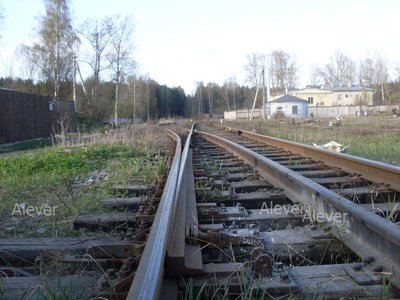 SDC12618.JPG