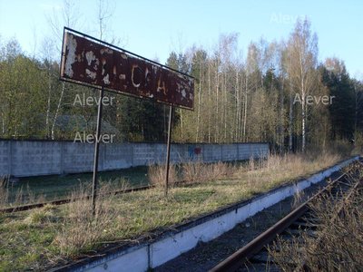 SDC12622.JPG