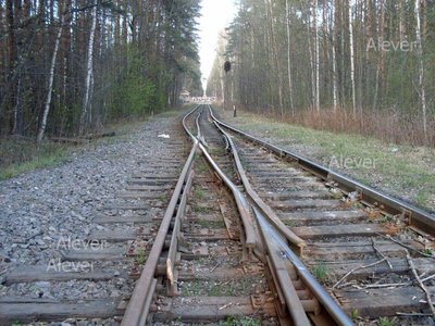 SDC12625.JPG