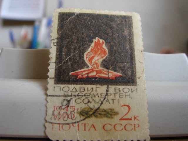 DSC01976.JPG