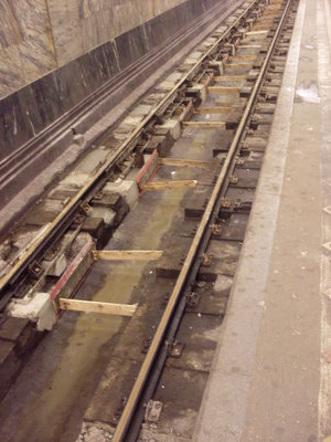 SDC10380.JPG