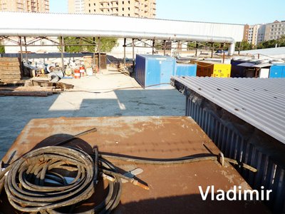 P1060846.jpg