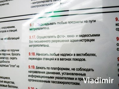 P1070437.jpg