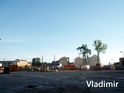 Вид с юга (со стороны дома №161 по Лиговскому проспекту).