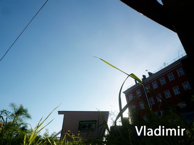 P1060759.jpg