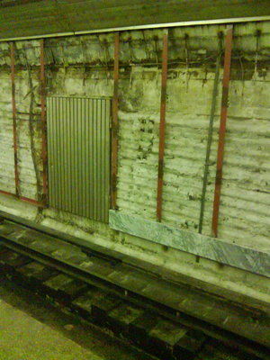 DSC00998.jpg