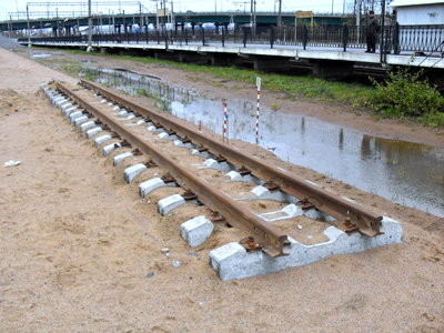SDC18315-1.JPG