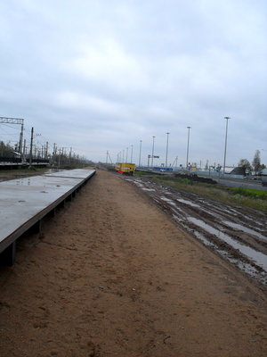 SDC18325-1.JPG