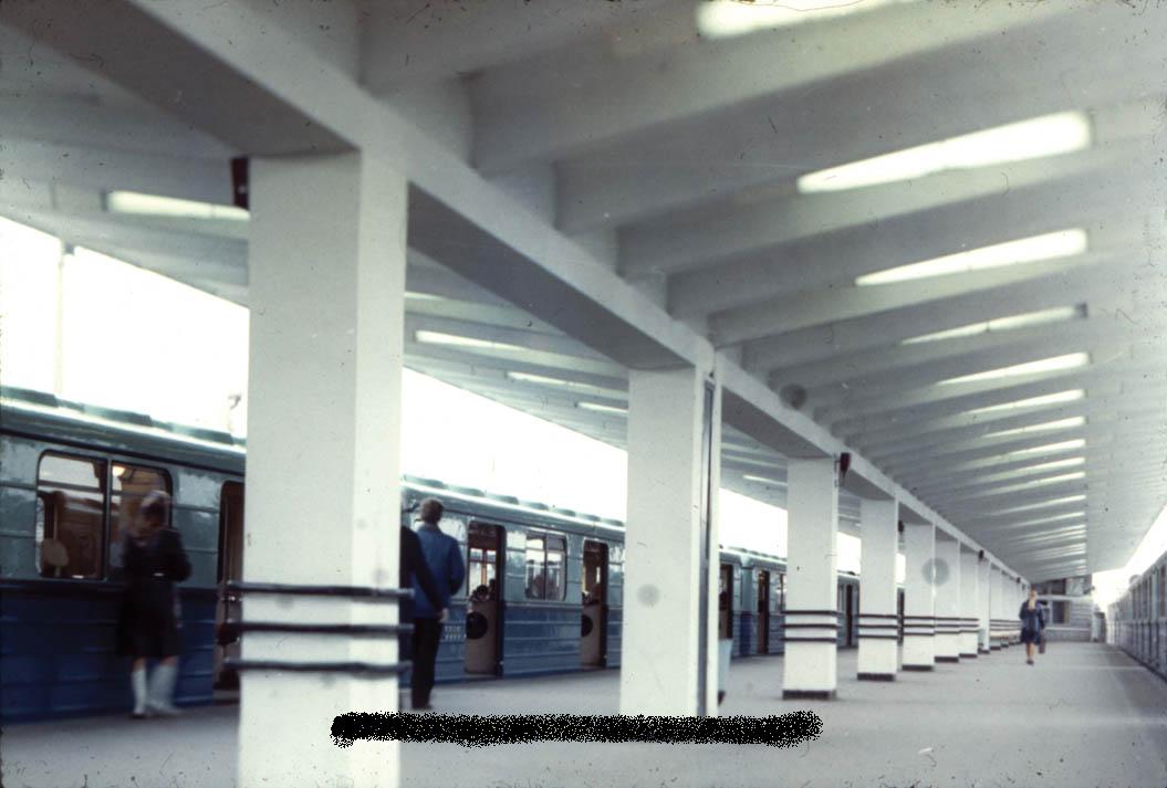56.jpg