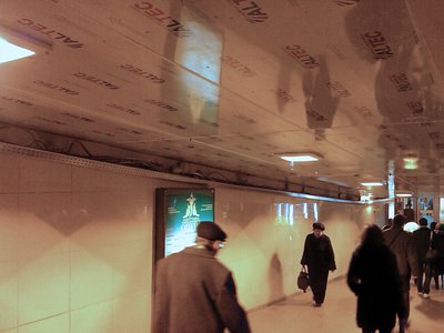 IMAG0017.jpg