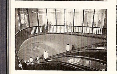 сканирование0005.jpg