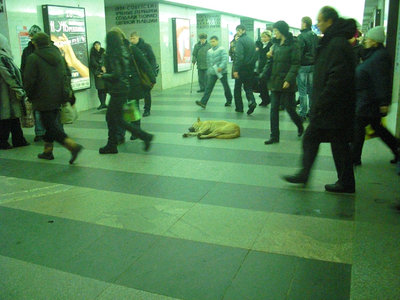 метро 393.jpg
