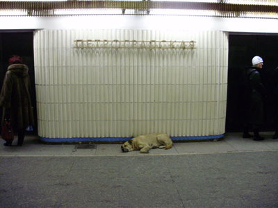 PC300809.jpg