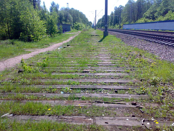 Шпалы одного из 2(по эту сторону от главных путей) путей. Слева можно увидеть шпалы второго пути, который отходит на Светлану. Вид на юг, от Удельной.