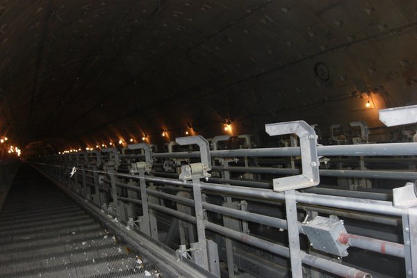 y_44ff8042.jpg