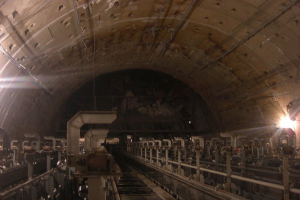 y_09828782.jpg
