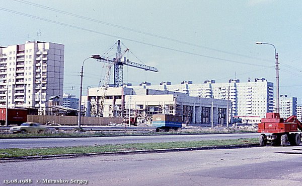 291058.jpg