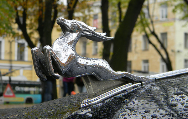 DSCN3702.jpg