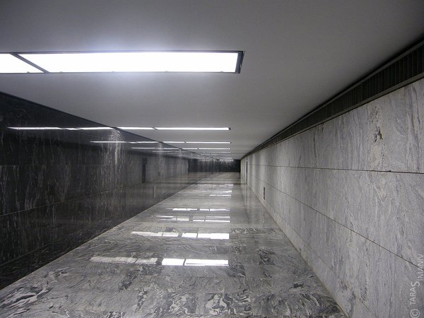 DSCF7991.jpg