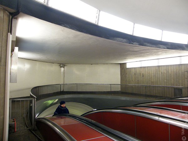 DSCF8597.jpg