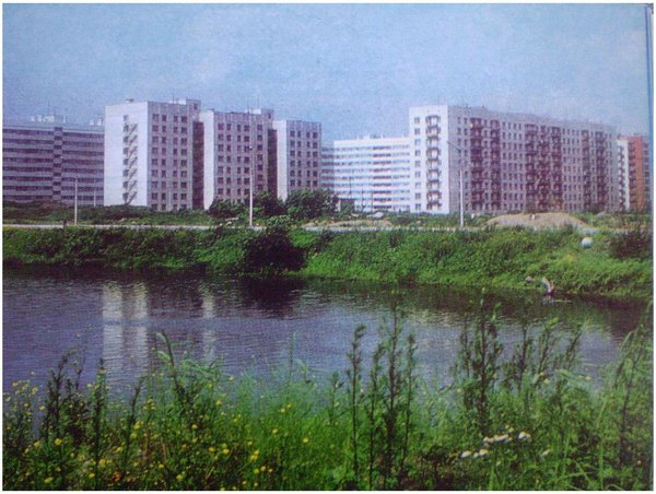 755384.jpg