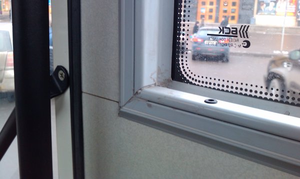 IMAG0562.jpg