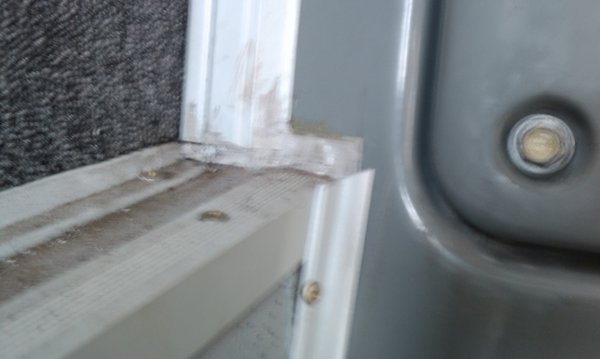 IMAG0564.jpg