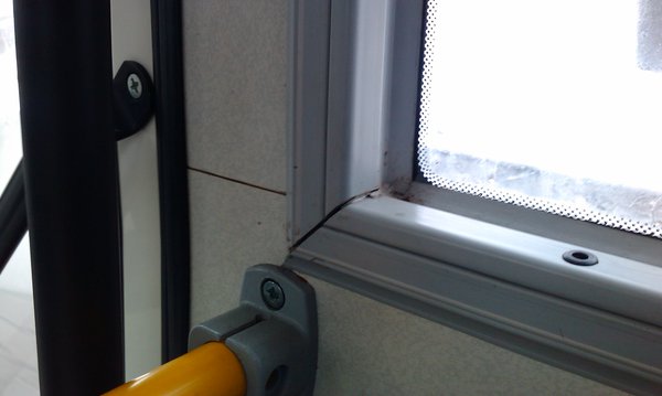 IMAG0575.jpg