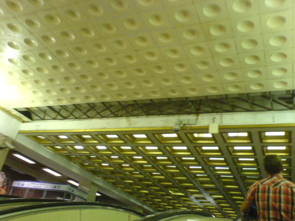 DSC01377.JPG