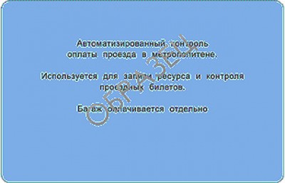 bsk2.jpg