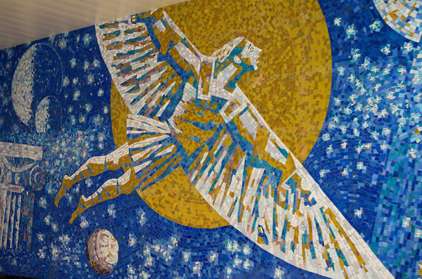 IMGP0249.jpg