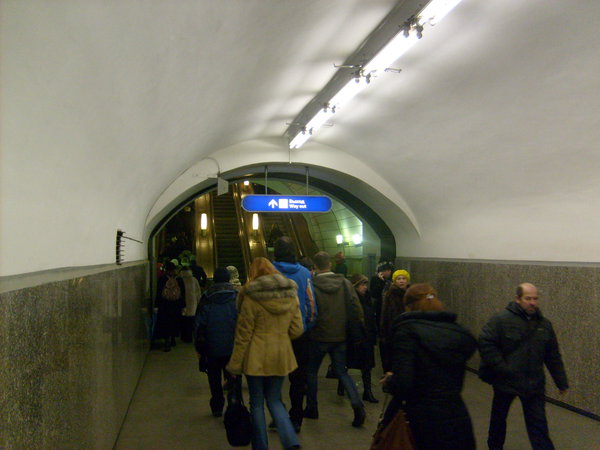 S6308606.JPG