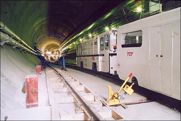 lef-31-b[1].jpg