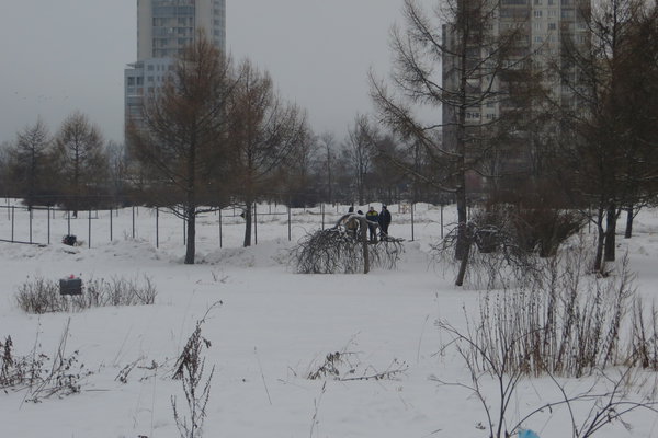 IMG_4804.JPG